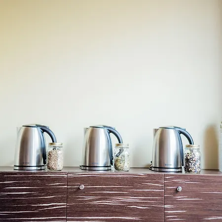 酒店 杰纳斯酒店 4*